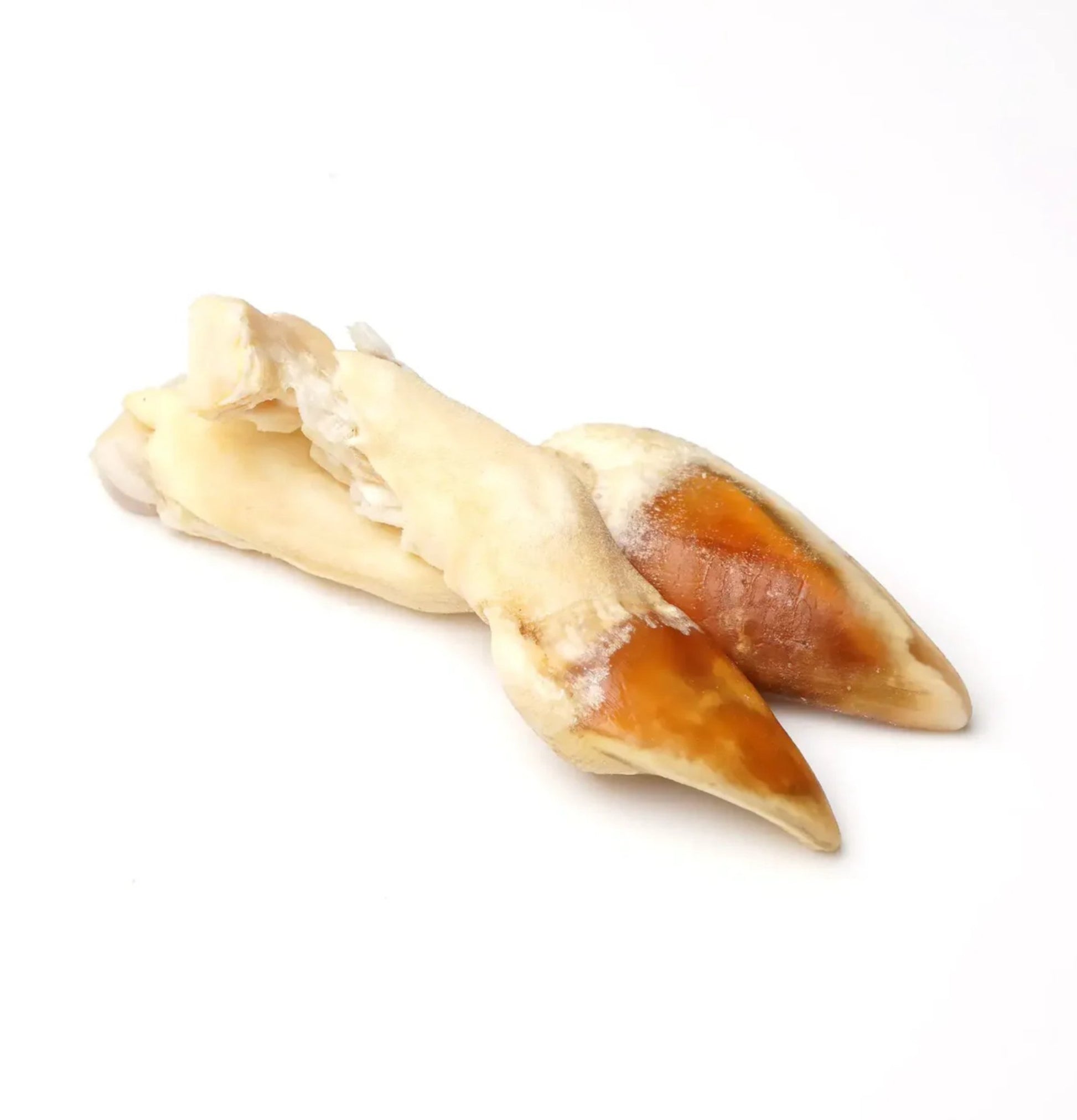 Animalkind | 鹿蹄 150g - SugarPet