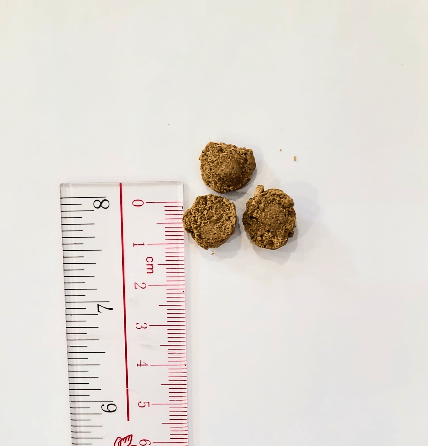 Bell & Bone | 貓貓系列 - 三文魚+活性碳天然潔齒粒 80g - SugarPet 寵甜