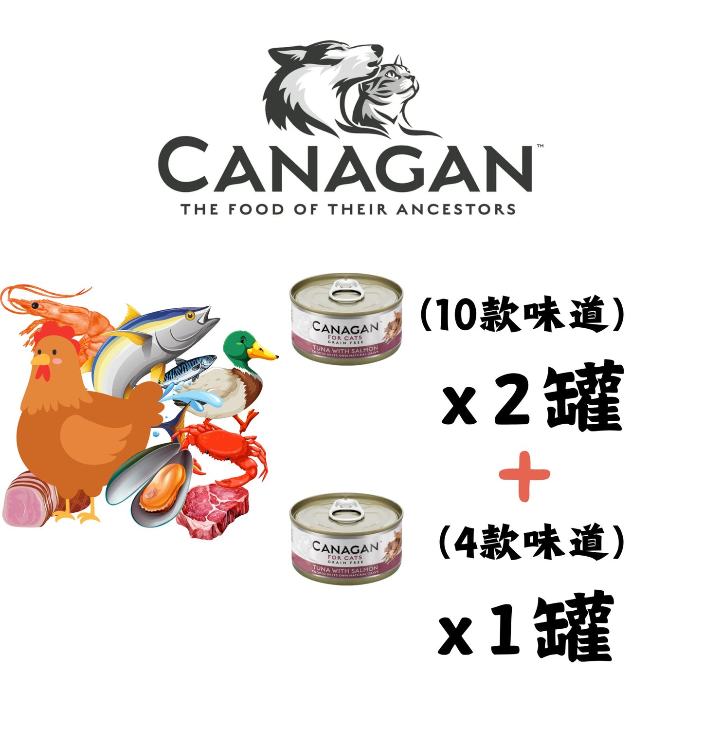 Canagan | 無穀物貓罐頭 75g 混合味道套裝(24罐) - SugarPet