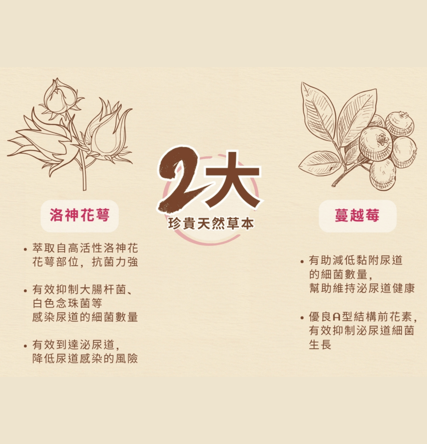 Cosset | 洛神花萼泌尿護理配方 30包 - 1g/包(貓狗食用) - SugarPet