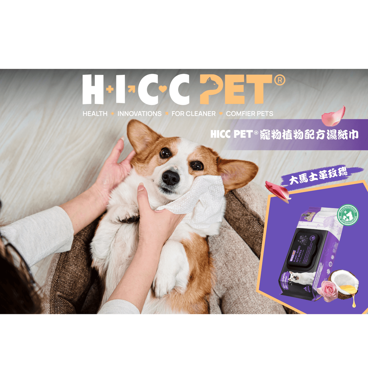 HICCPET | 寵物植物配方濕紙巾 (100片裝)(貓狗適用) - SugarPet