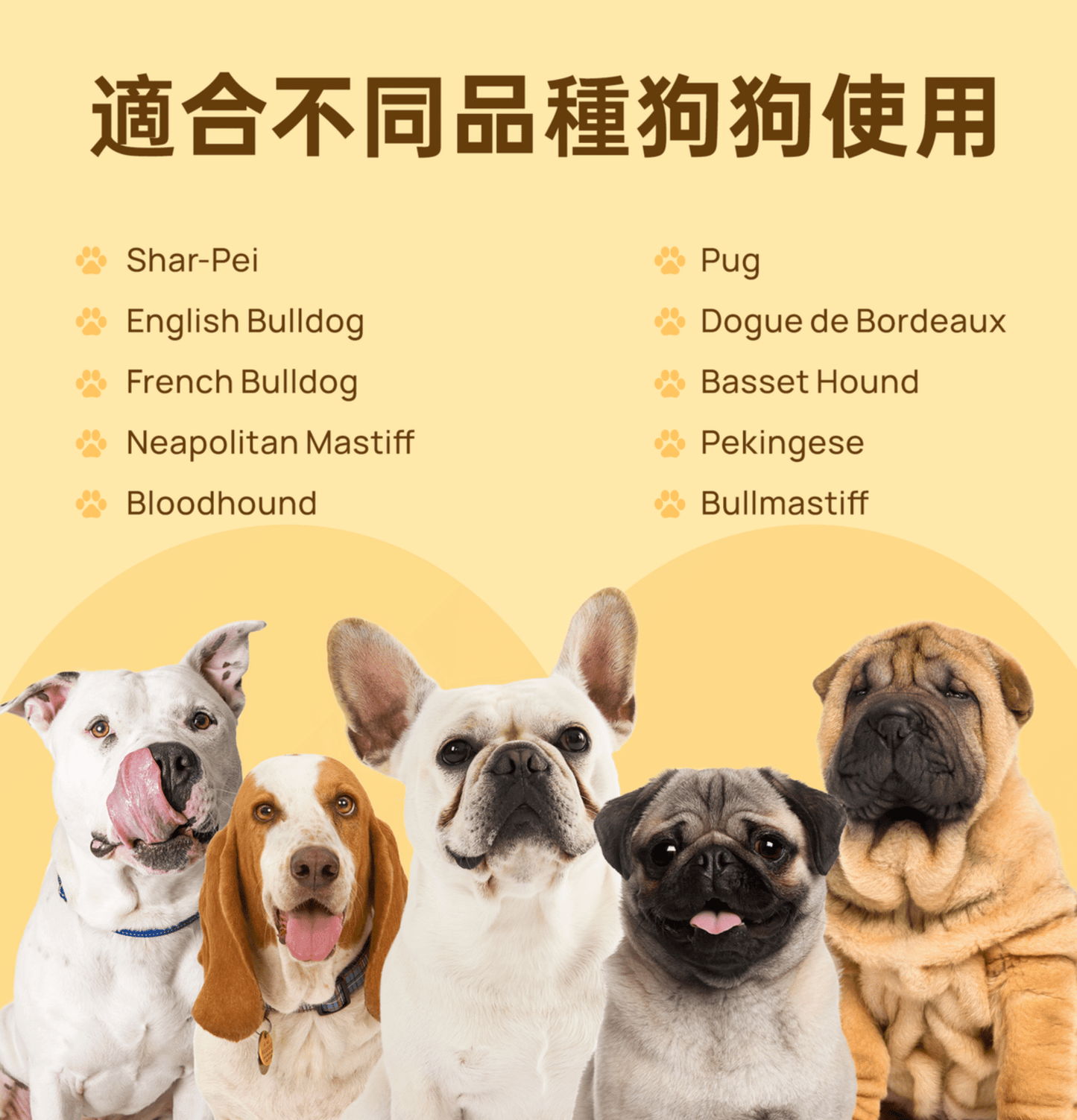 HICCPET | 低敏寵物皺紋濕紙巾 (無香) 100片裝(貓狗適用) - SugarPet