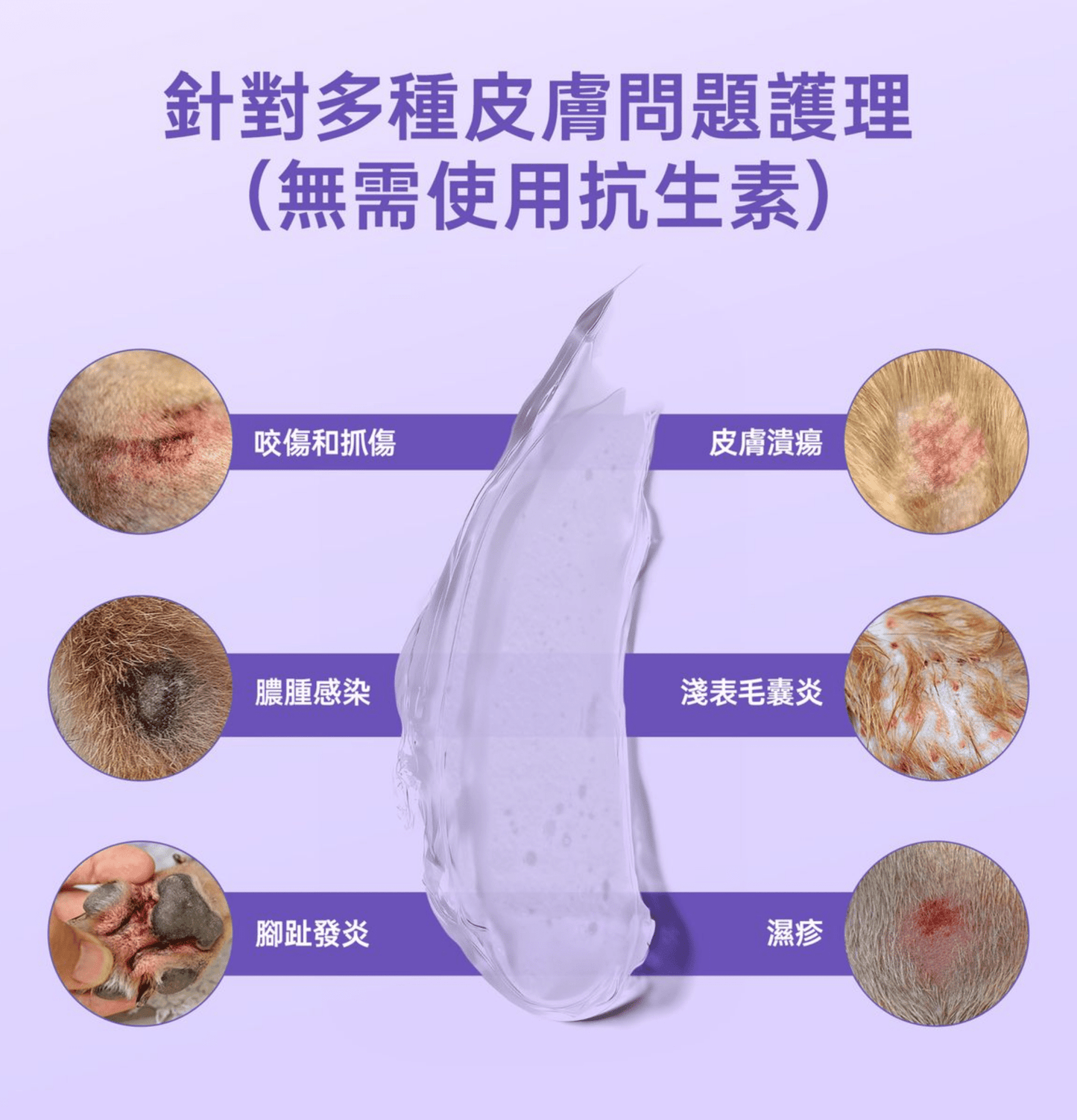 HICCPET | 寵物抗菌水凝膠 (100ml)(貓狗適用) - SugarPet