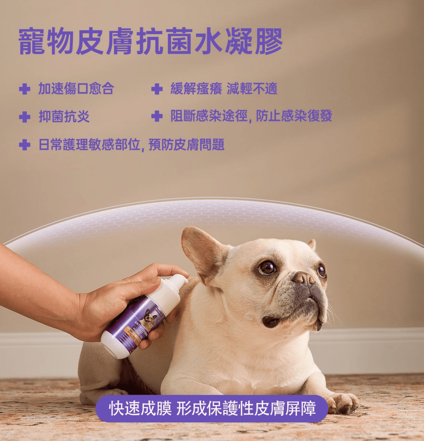 HICCPET | 寵物抗菌水凝膠 (100ml)(貓狗適用) - SugarPet