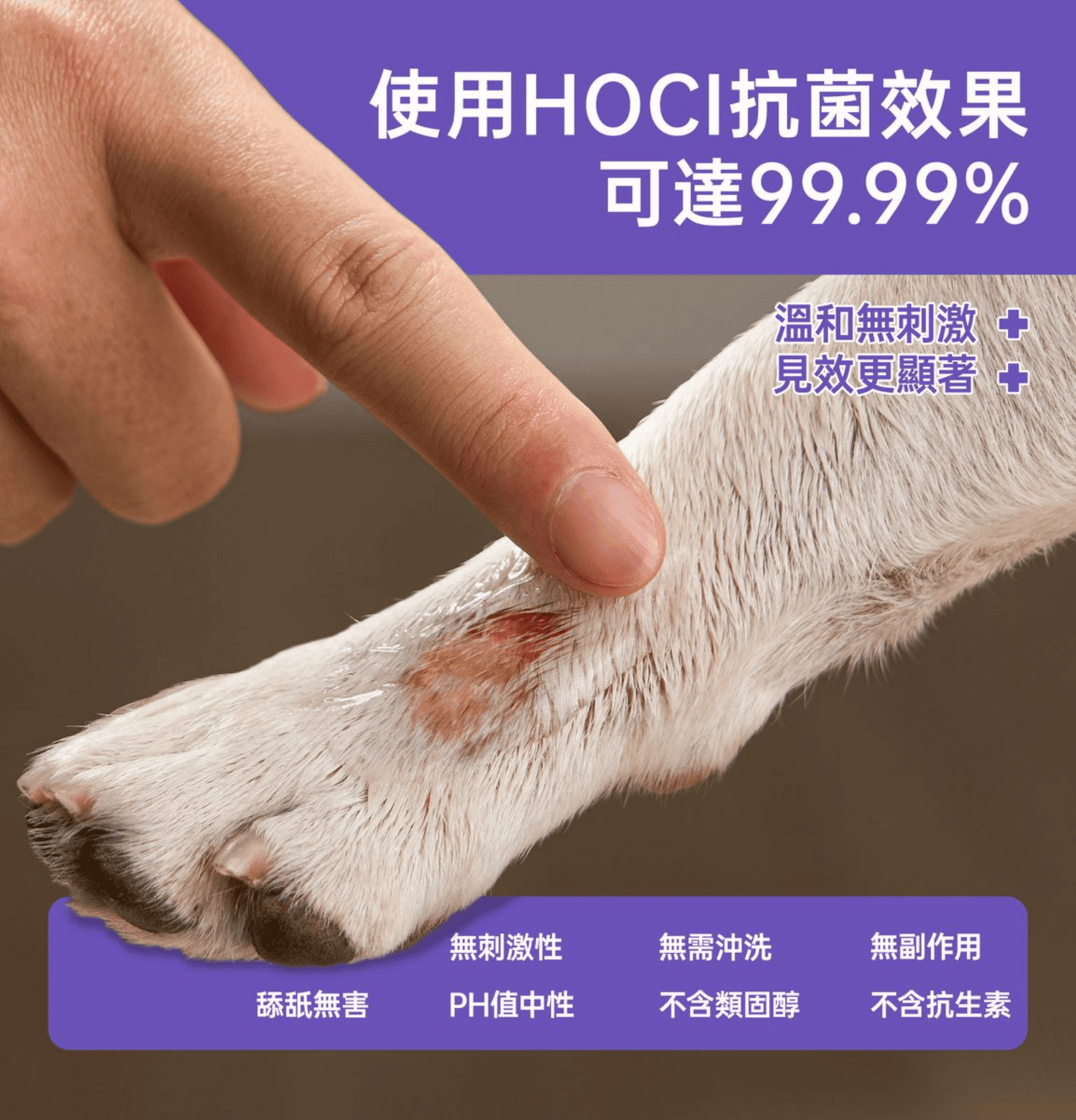 HICCPET | 寵物抗菌水凝膠 (100ml)(貓狗適用) - SugarPet