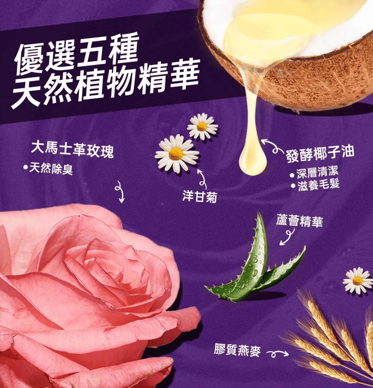 HICCPET | 寵物植物配方濕紙巾 (大馬士革玫瑰) 20片 X 6包(貓狗適用) - SugarPet