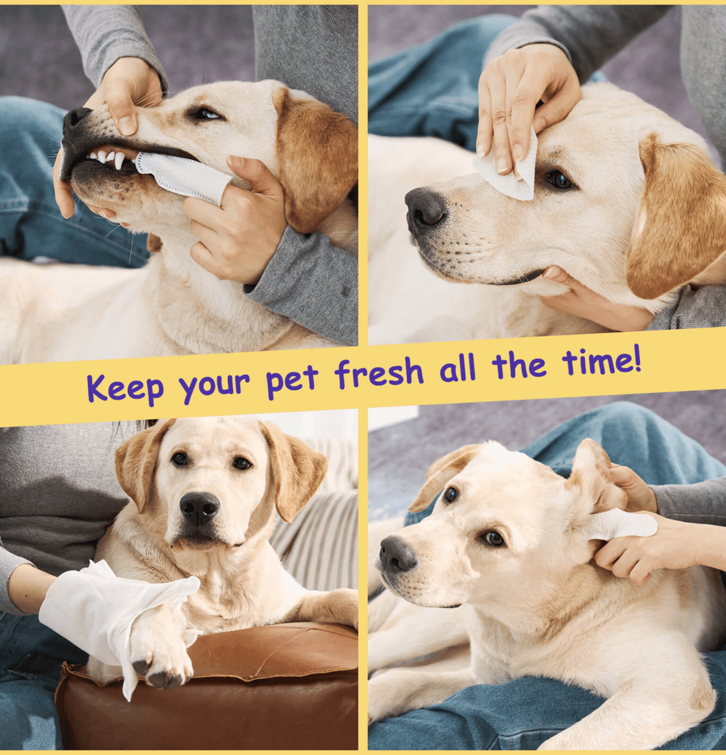 HICCPET | 潔淨體驗套裝(貓狗適用) - SugarPet