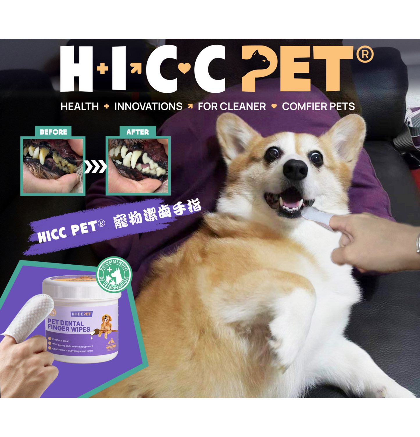 HICCPET | 寵物潔齒手指 50片裝(貓狗適用) - SugarPet