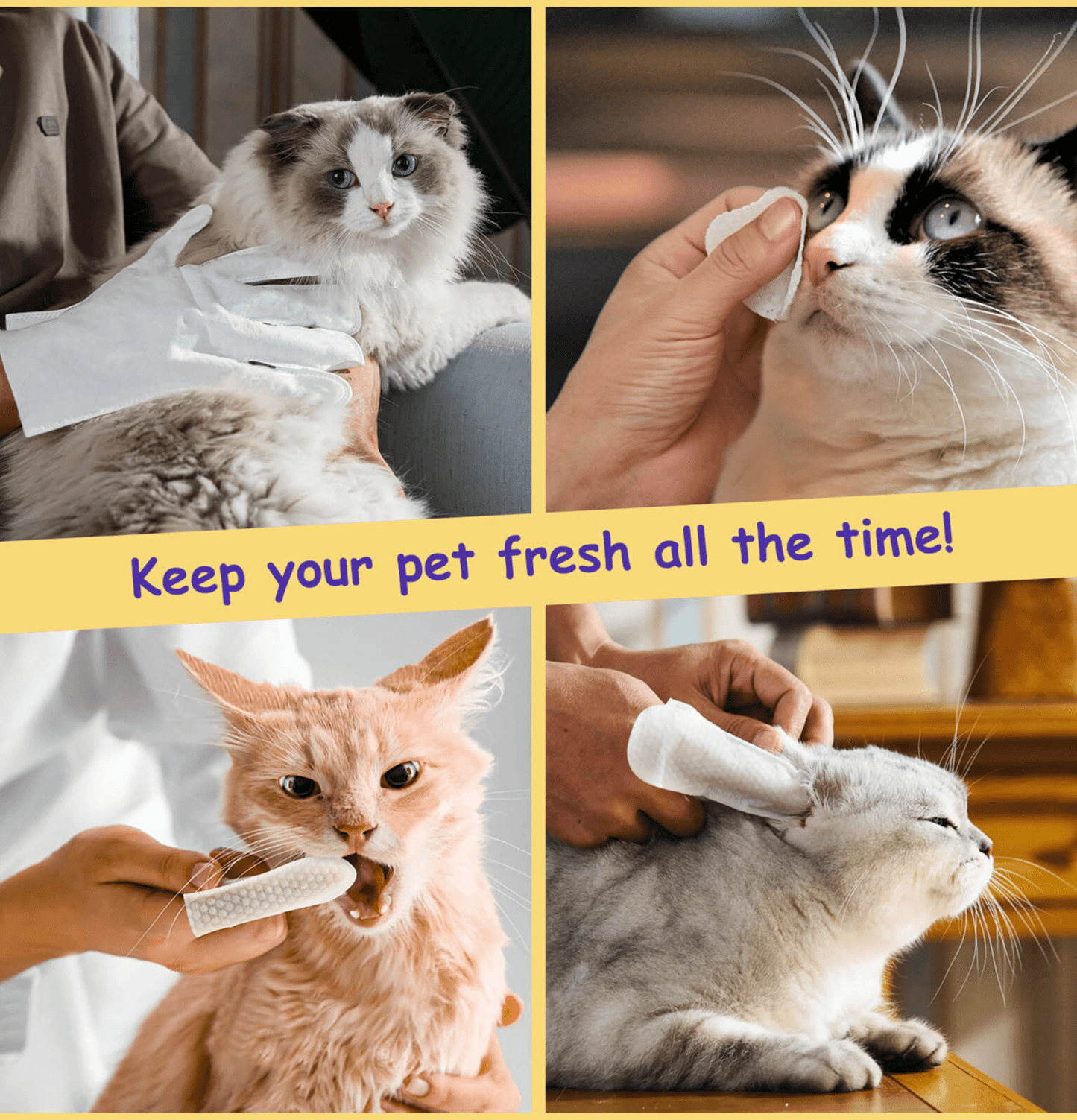 HICCPET | 潔淨體驗套裝(貓狗適用) - SugarPet