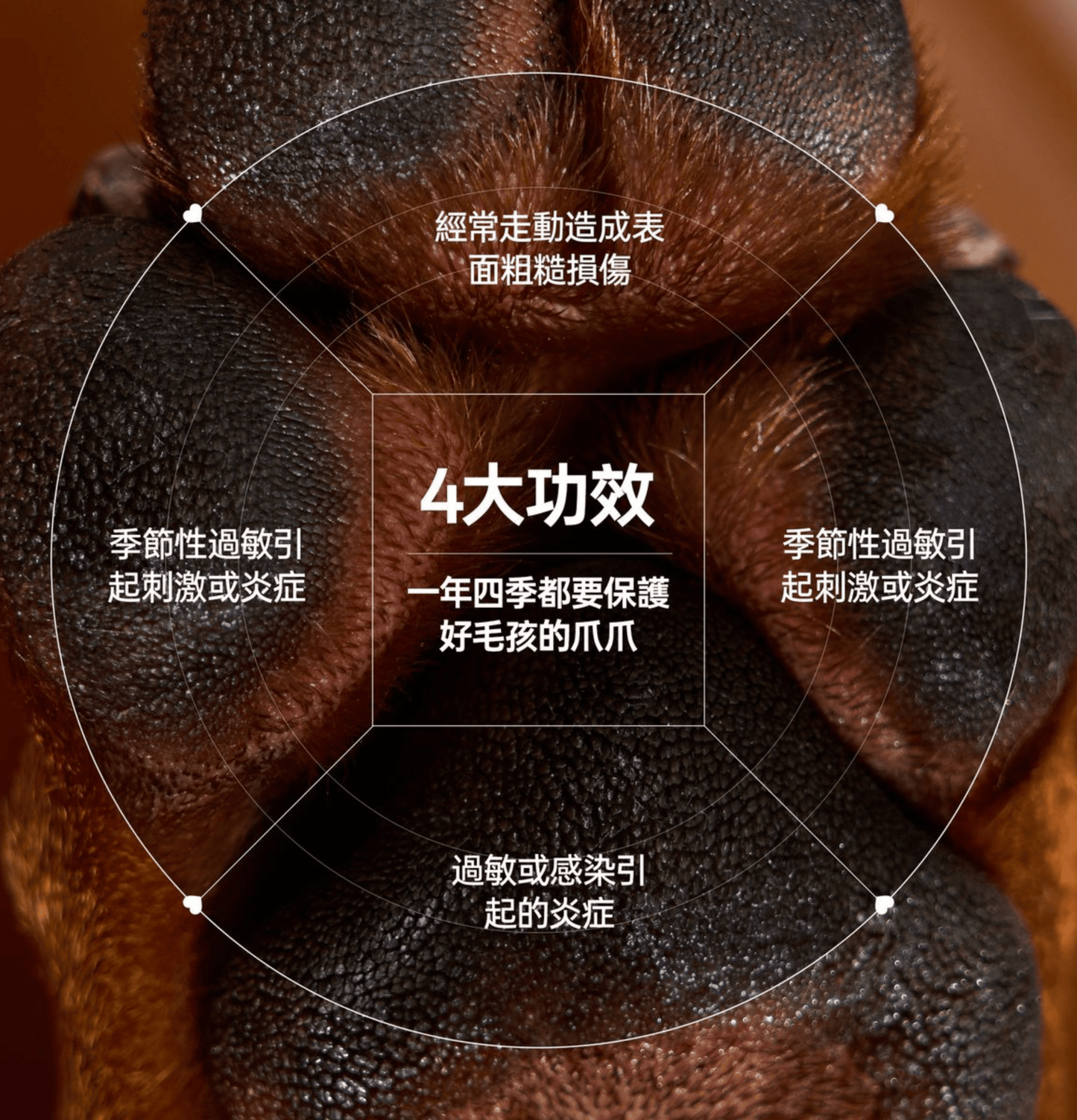 HICCPET | 寵物修護腳掌膏(貓狗適用) - SugarPet