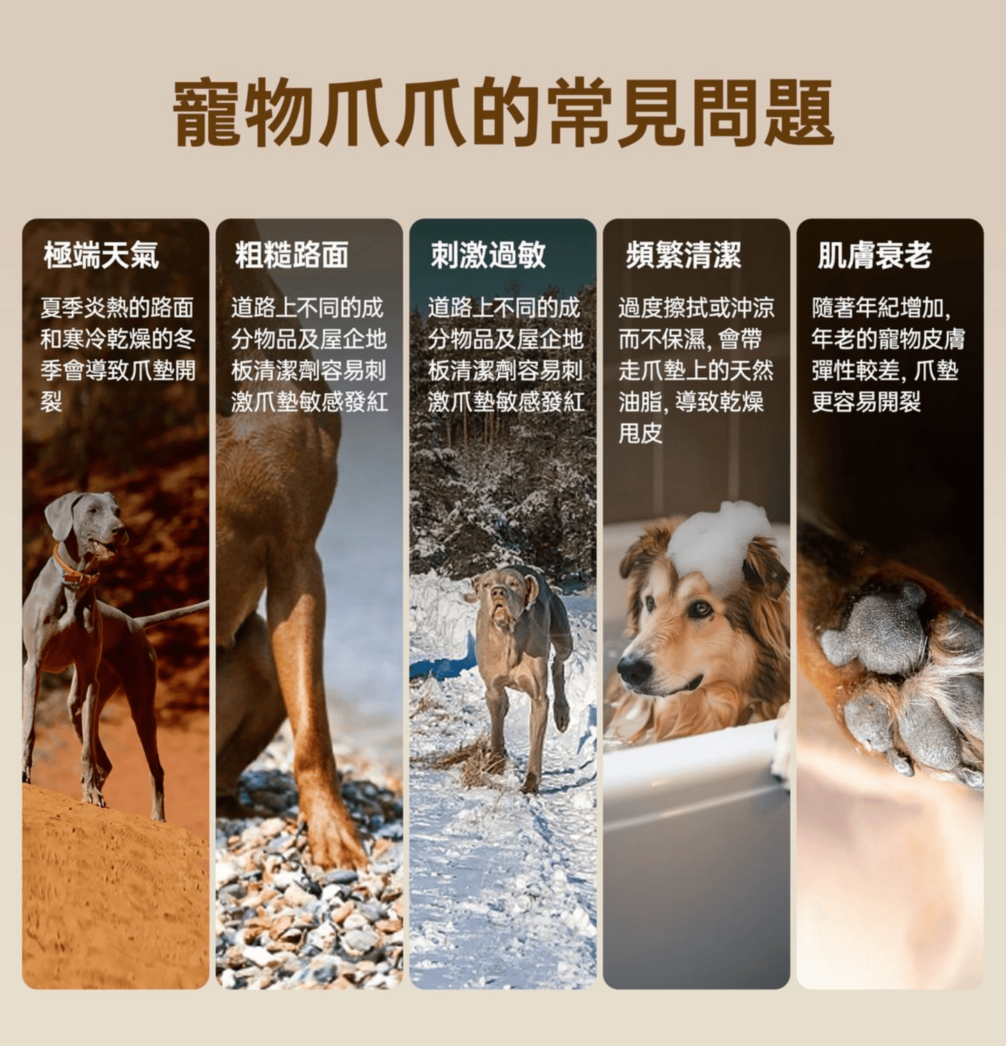 HICCPET | 寵物修護腳掌膏(貓狗適用) - SugarPet