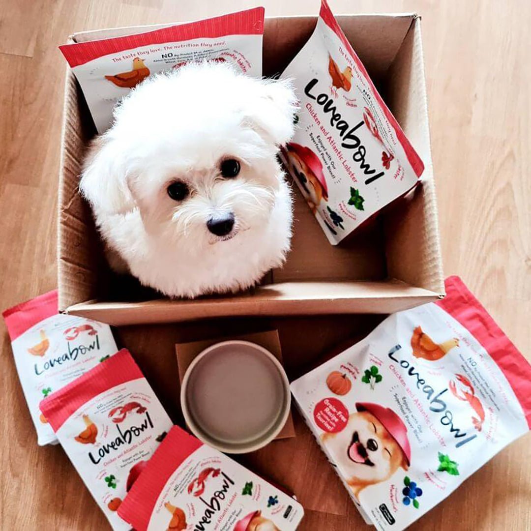 Loveabowl | 無穀物龍蝦+雞肉海陸狗乾糧 - SugarPet