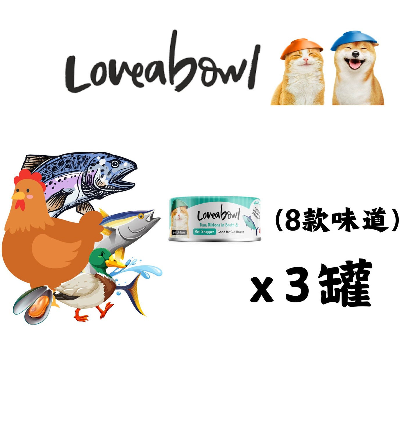 Loveabowl | 貓罐頭 70g 混合味道套裝(24罐) - SugarPet
