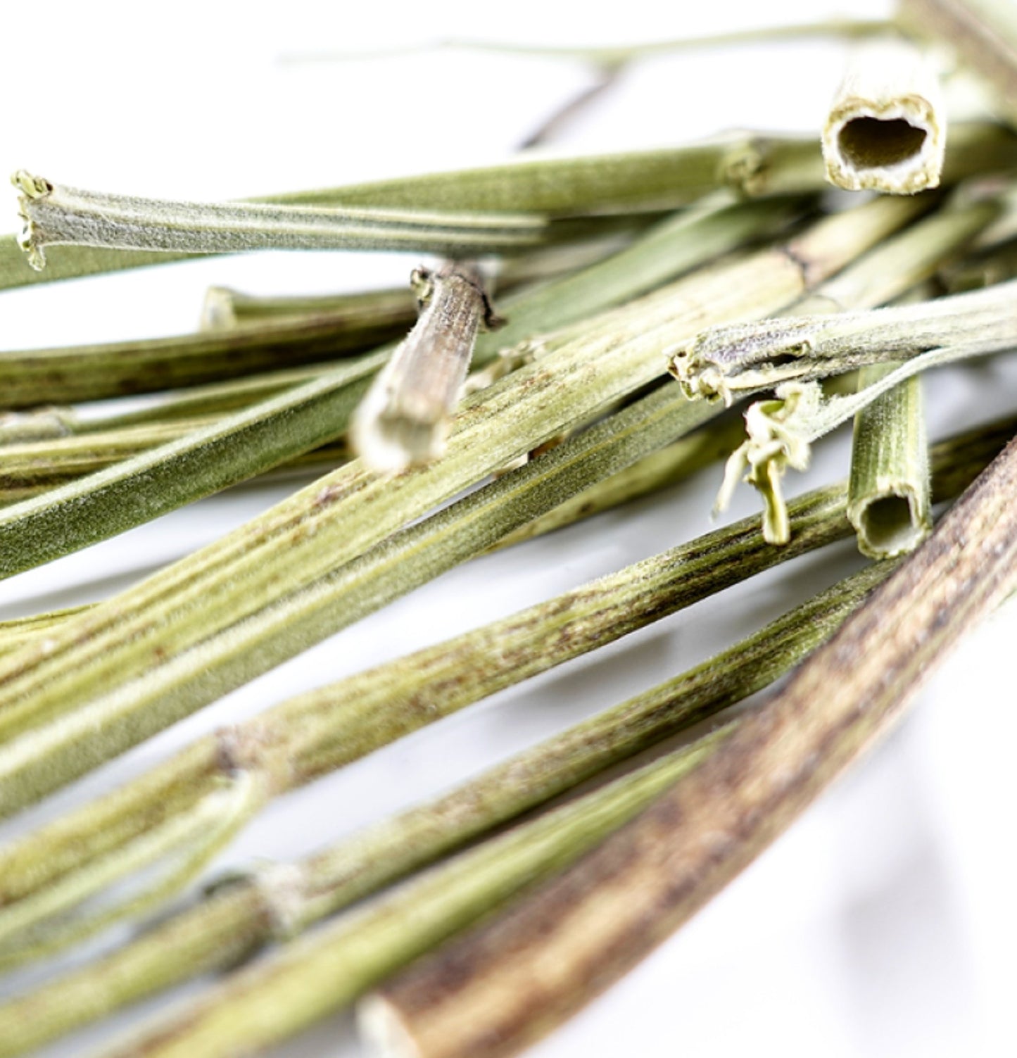 Mad Farmer | 貓薄荷原枝 20g(貓適用) - SugarPet