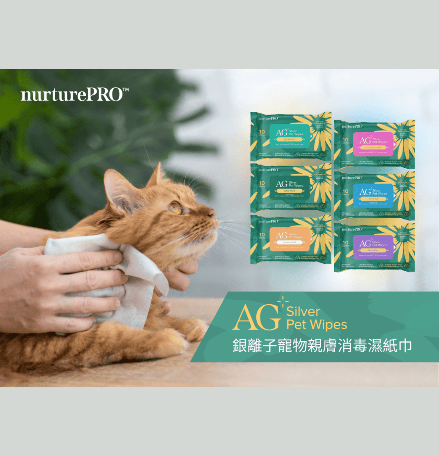 Nurture Pro | AG+ 銀離子寵物親膚消毒濕紙巾(10張/包) (貓狗適用) - SugarPet 寵甜