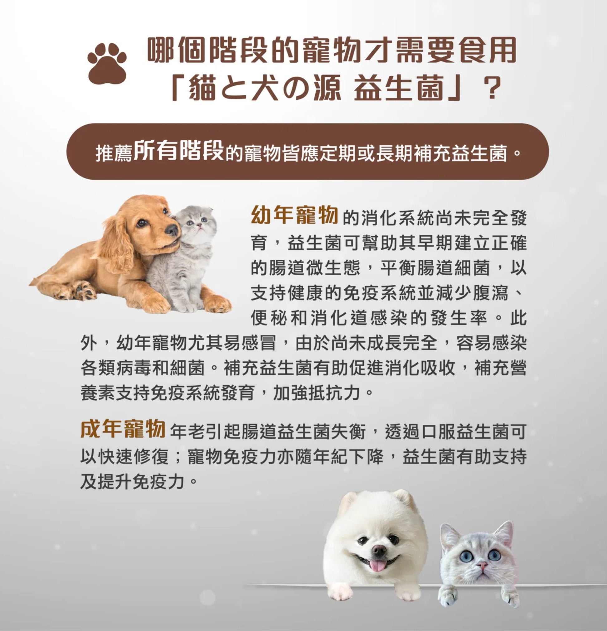 Petto Orijin | 貓和犬之源 液態益生菌(貓狗食用) - SugarPet