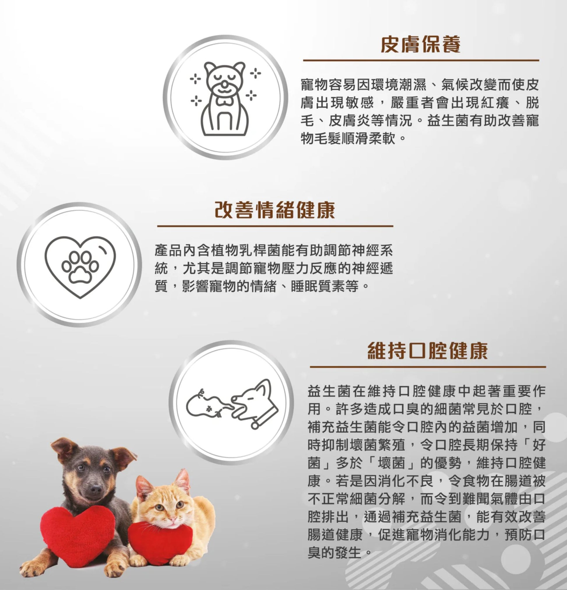 Petto Orijin | 貓和犬之源 液態益生菌(貓狗食用) - SugarPet