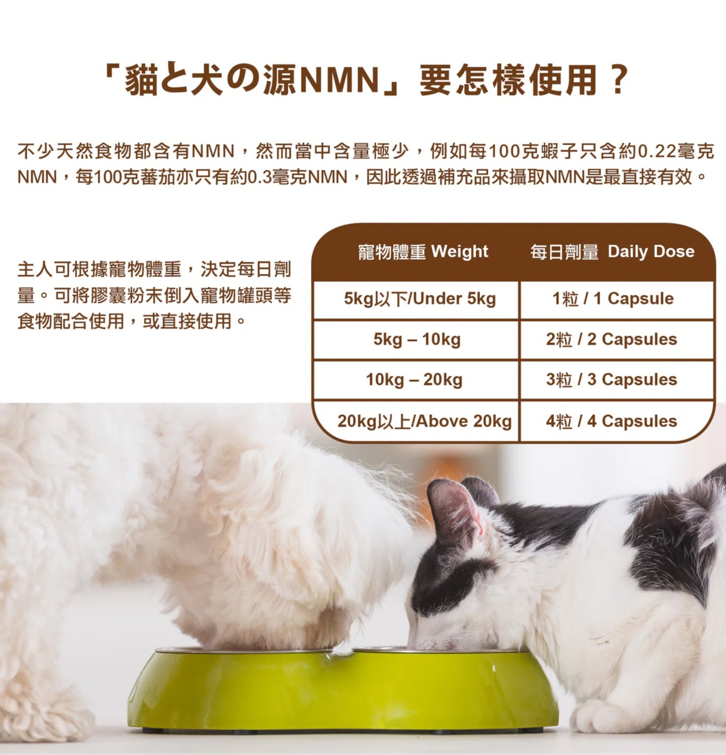 Petto Orijin | 貓和犬之源 NMN 30粒裝(貓狗食用) - SugarPet