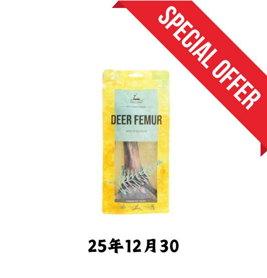 25年12月30 | Dear Deer | 鹿大腿骨