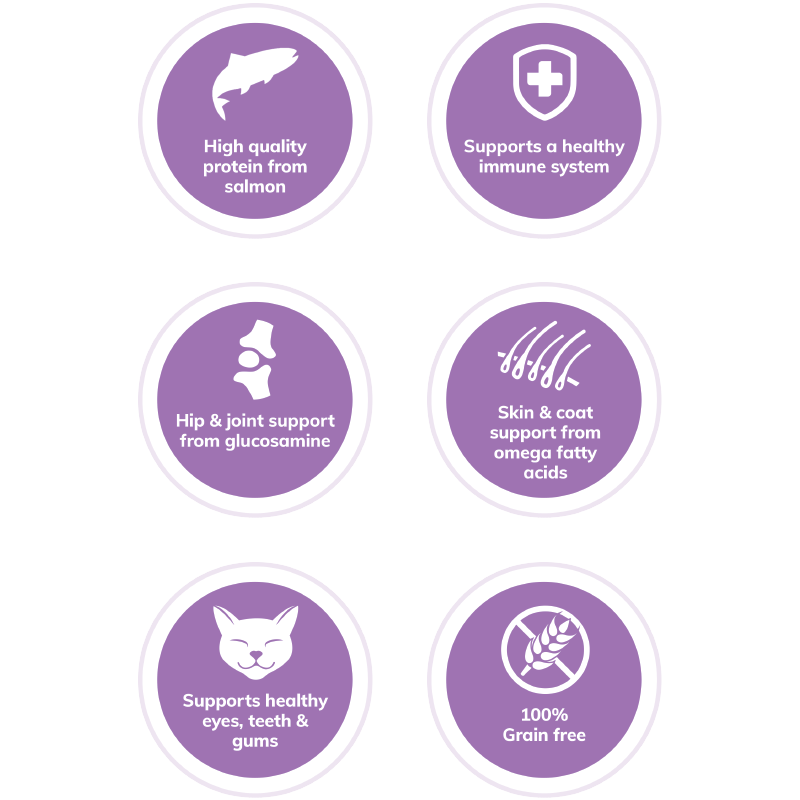 Wellness | Complete Health 無穀物室內貓魚肉貓乾糧 - SugarPet