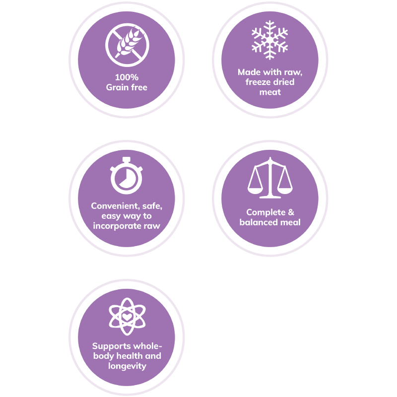 Wellness | Core 無穀物室內貓海洋魚貓乾糧 - SugarPet