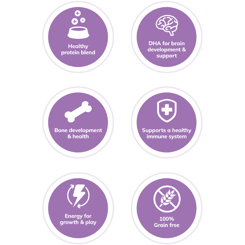 Wellness | Core 無穀物幼貓糧 - SugarPet