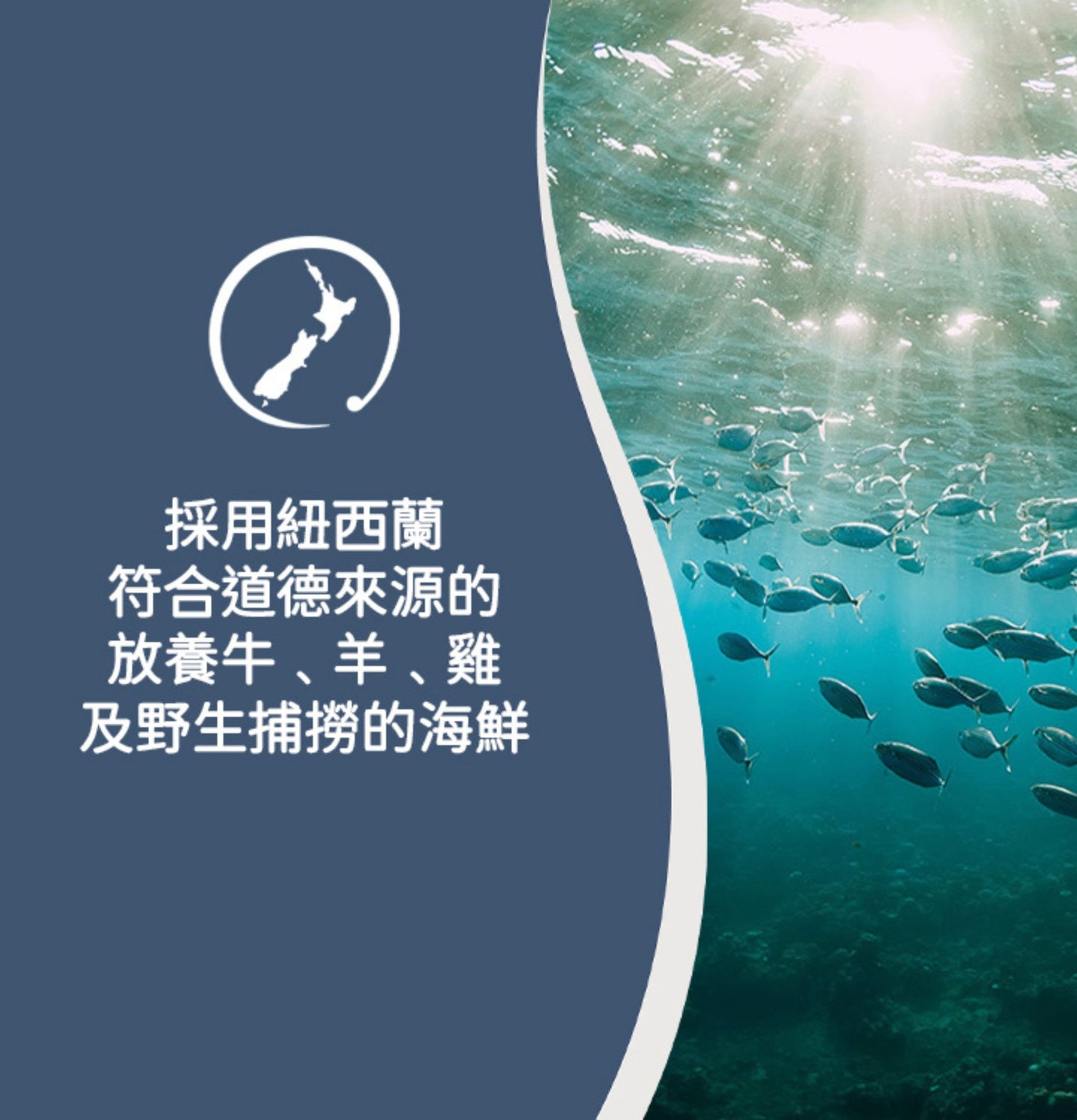 ZiwiPeak | 微蒸風乾放養雞+原條鯖魚貓糧 - SugarPet