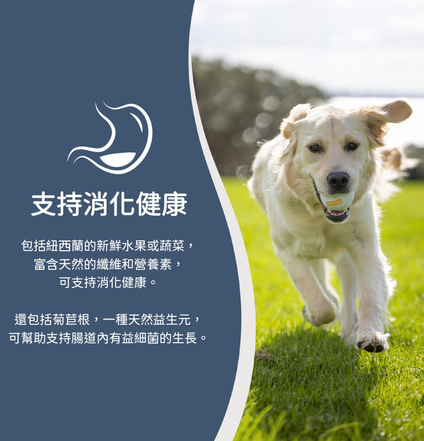 ZiwiPeak | 微蒸風乾草飼羊肉+綠色蔬菜狗糧 - SugarPet