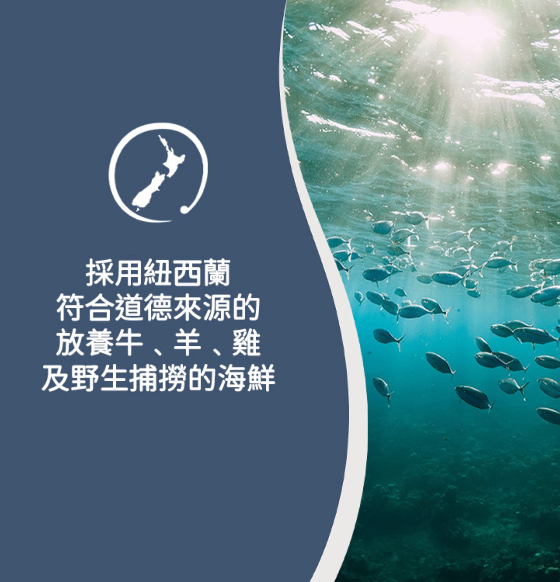 ZiwiPeak | 微蒸風乾雞野生南太平洋魚貓糧 - SugarPet
