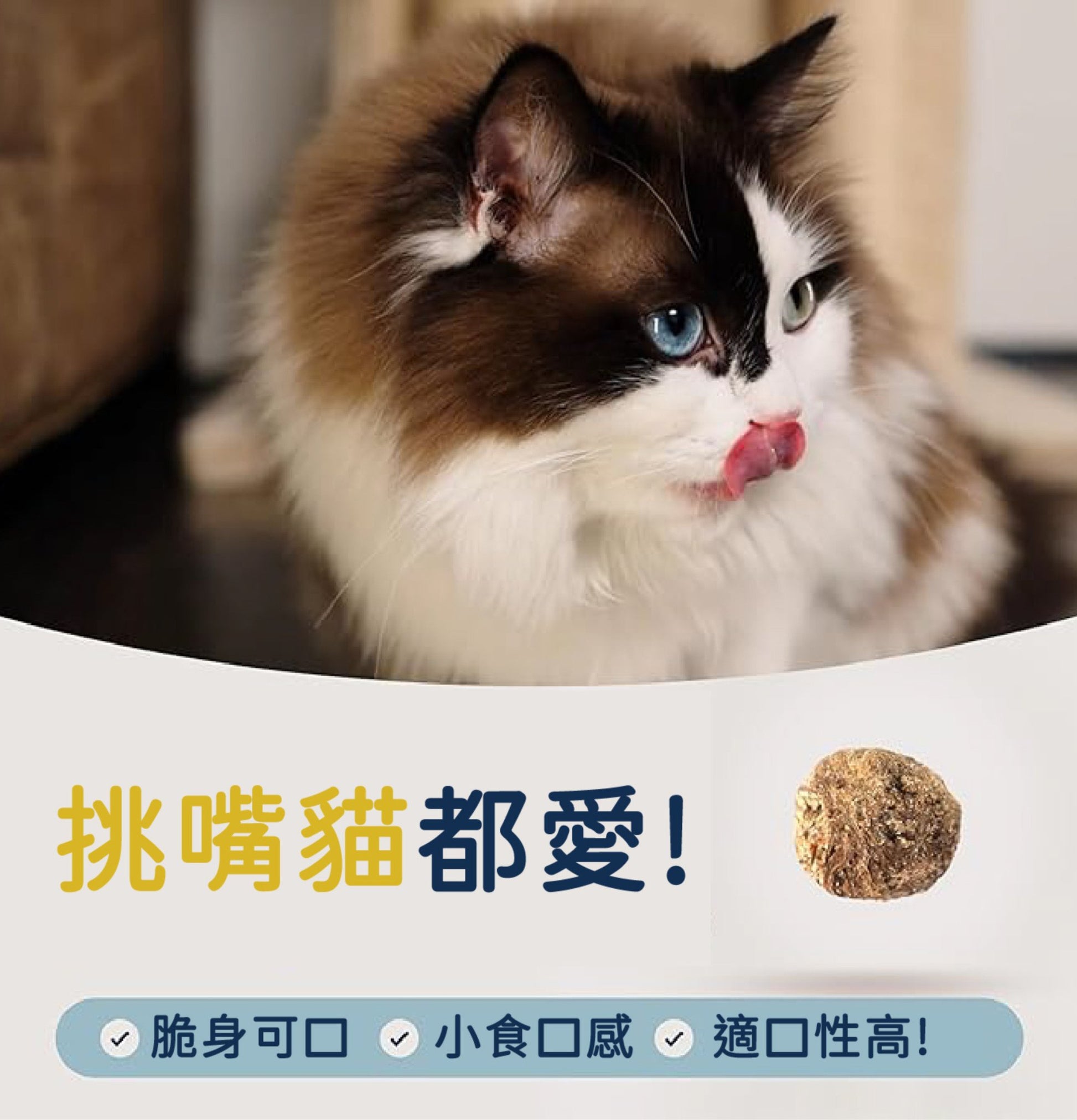 ZiwiPeak | 微蒸風乾草飼牛肉+南藍魚鱈貓糧 - SugarPet