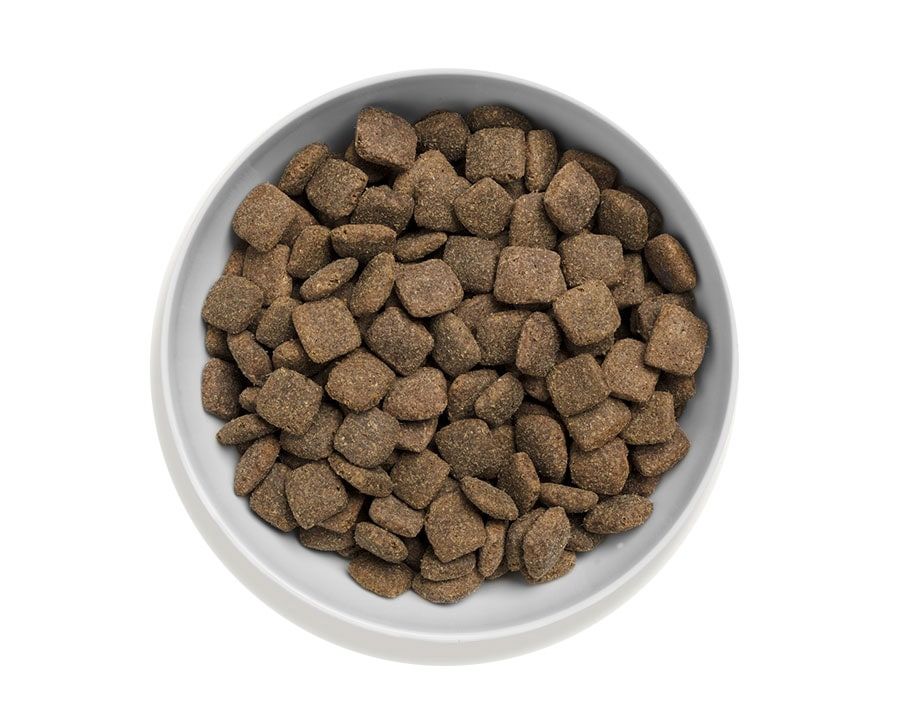 Canagan | 無穀物放牧羊狗乾糧