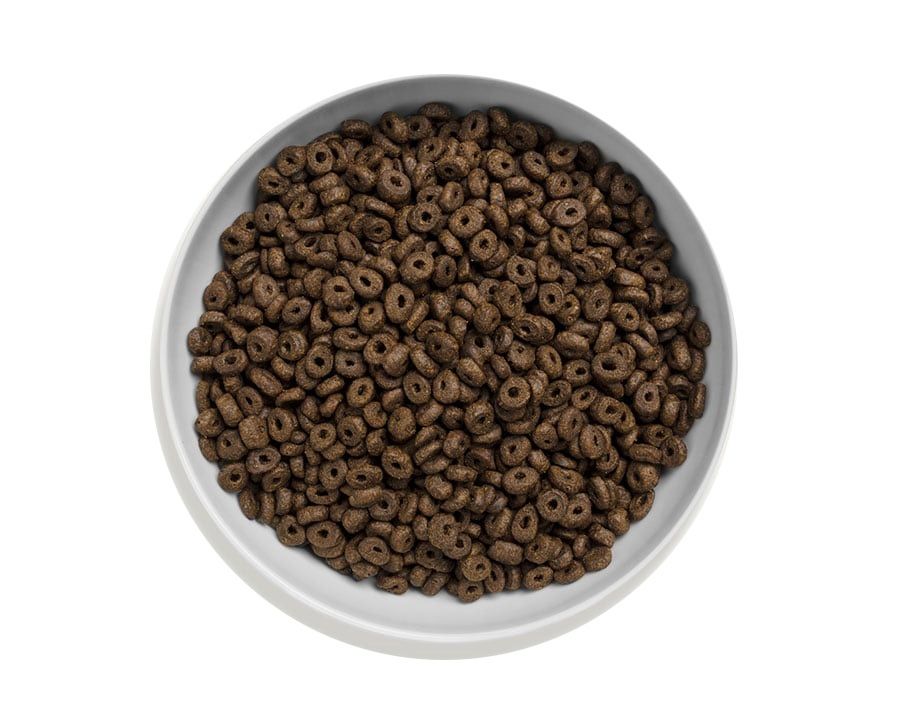 Canagan | 無穀物走地雞小型犬狗乾糧