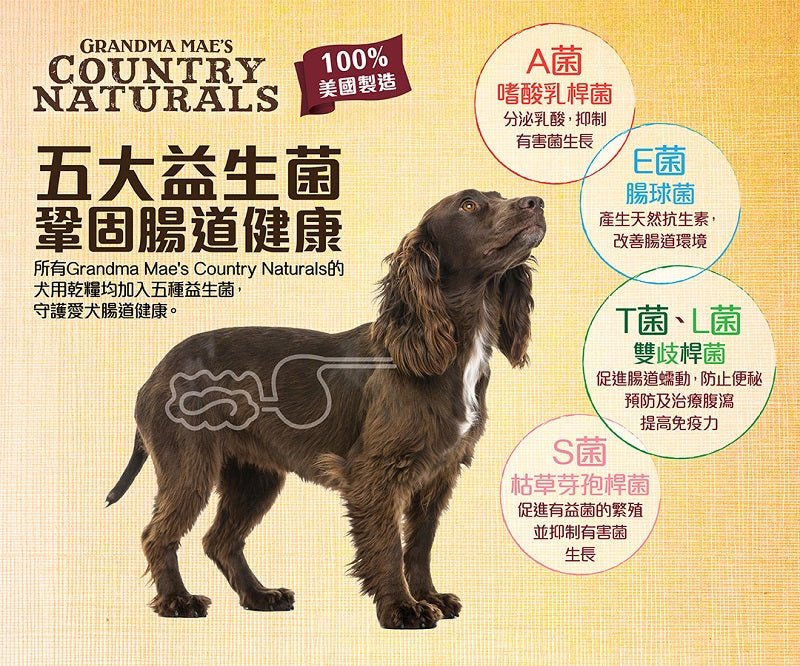 Country Naturals | 無穀物白鮭魚+雞低糖狗乾糧