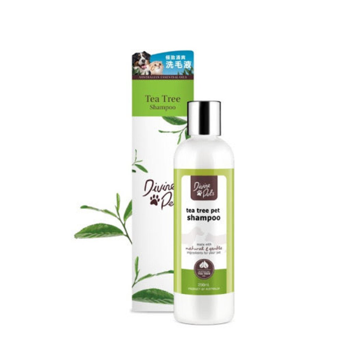 Divine Pets | 極致清爽洗毛液(貓狗適用) - SugarPet
