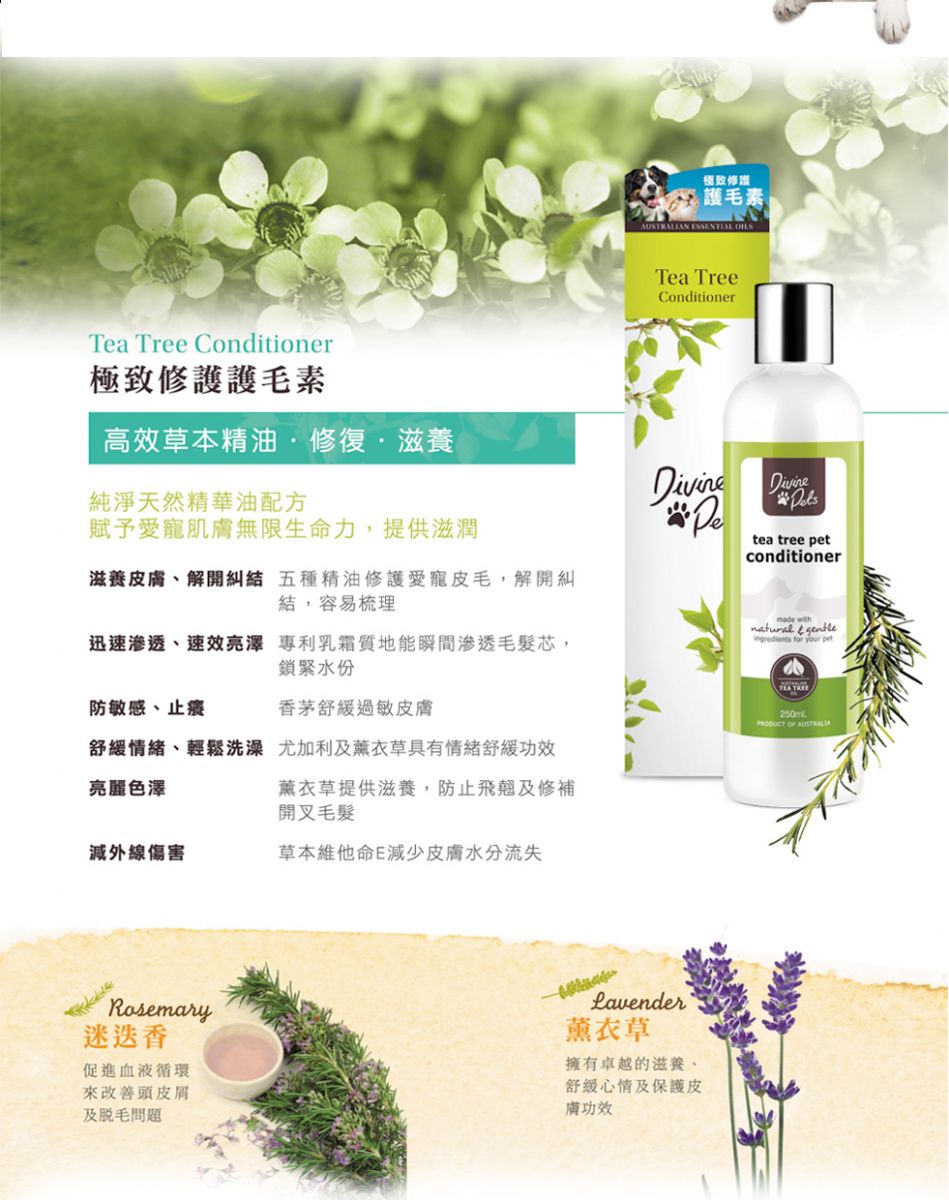 Divine Pets | 極致清爽護毛液(貓狗適用) - SugarPet