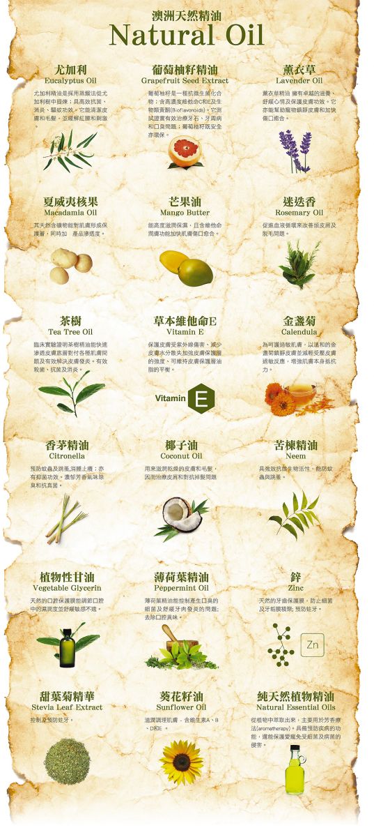 Divine Pets | 極致清爽護毛液(貓狗適用) - SugarPet