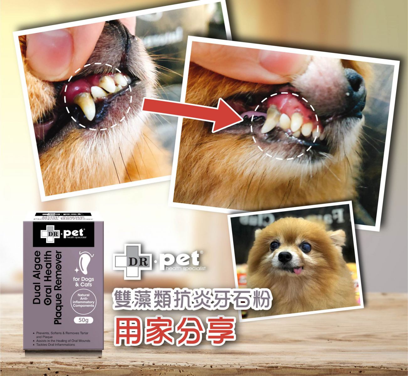 Dr. Pet | 雙藻類抗炎牙石粉 50g(貓狗適用)