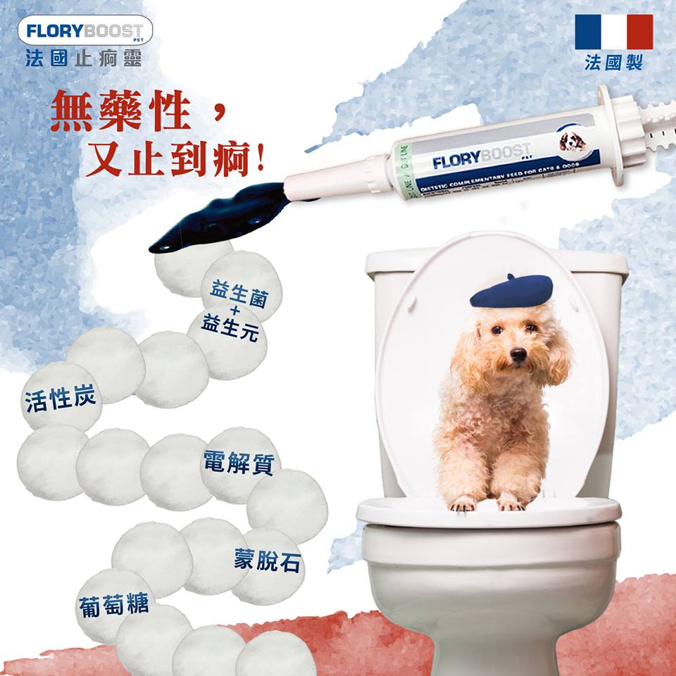 Flory Boost | 止痾靈 10ml (貓狗食用) - SugarPet