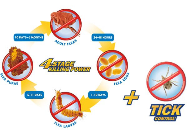 Frontline Plus | 殺蚤除牛蜱藥水(狗適用) - SugarPet