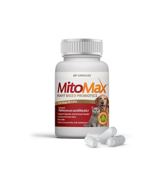 Mitomax | 益生菌 40粒 （貓狗食用） - SugarPet