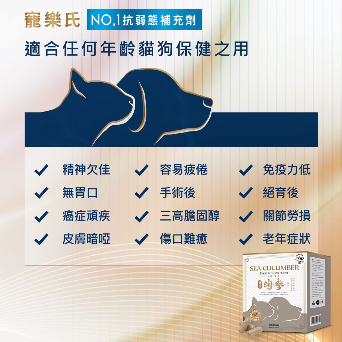 Petrum360 | 紐西蘭海參保健配方 30粒 (貓狗食用) - SugarPet