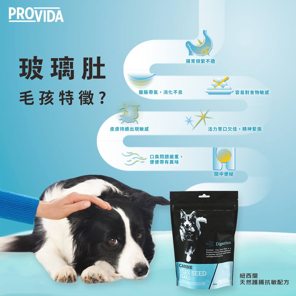 ProVida | 整腸益生菌玻璃肚救星 200g (貓狗食用) - SugarPet