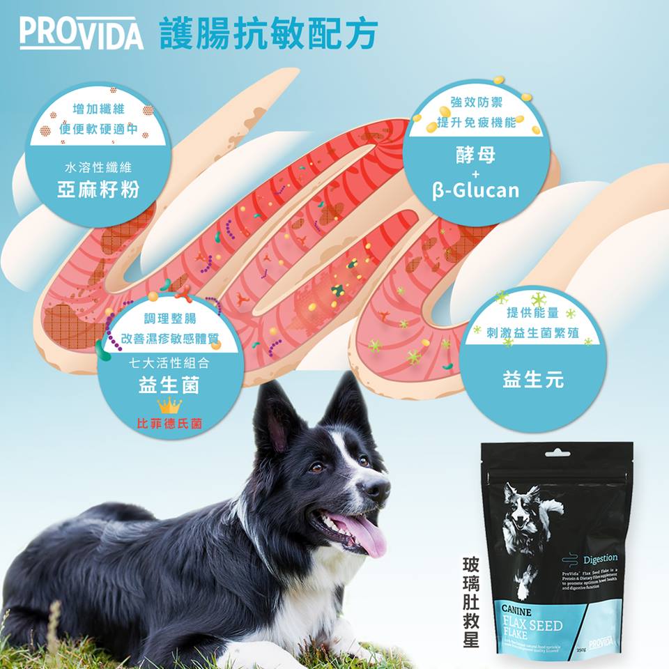 ProVida | 整腸益生菌玻璃肚救星 200g (貓狗食用) - SugarPet