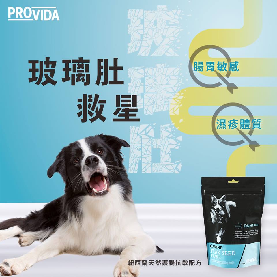 ProVida | 整腸益生菌玻璃肚救星 200g (貓狗食用) - SugarPet