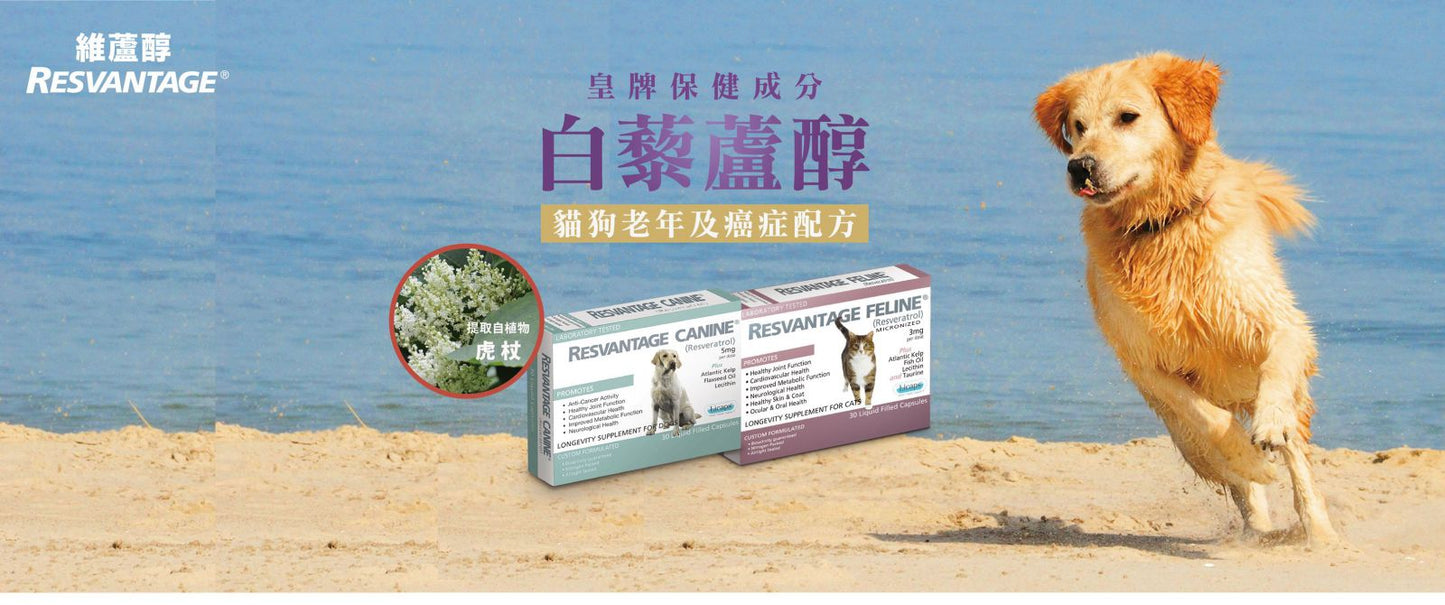 Resvantage Canine | 白藜蘆醇老年抗衰老及抗癌 30粒 (狗食用) - SugarPet