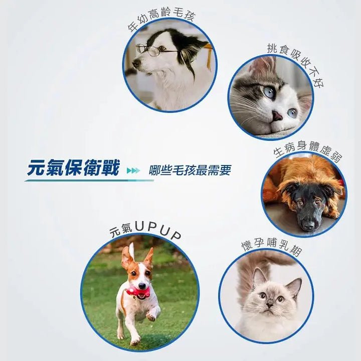 Virbac | 營養膏 120.5g(貓狗適用) - SugarPet