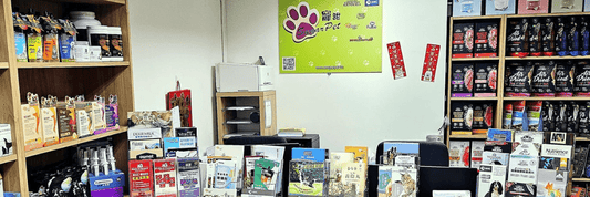 寵物爸媽必看！經營逾13年的寵甜，全港性價比極高的寵物用品網店之一 - SugarPet