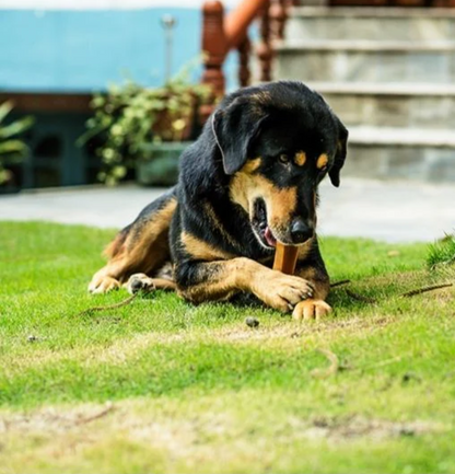 Animalkind | 喜馬拉雅犛牛奶潔齒骨