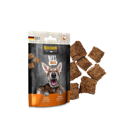 Leonardo & Belcando Dog Food | 溫和風乾零食肉塊系列 90g - 鴨肉