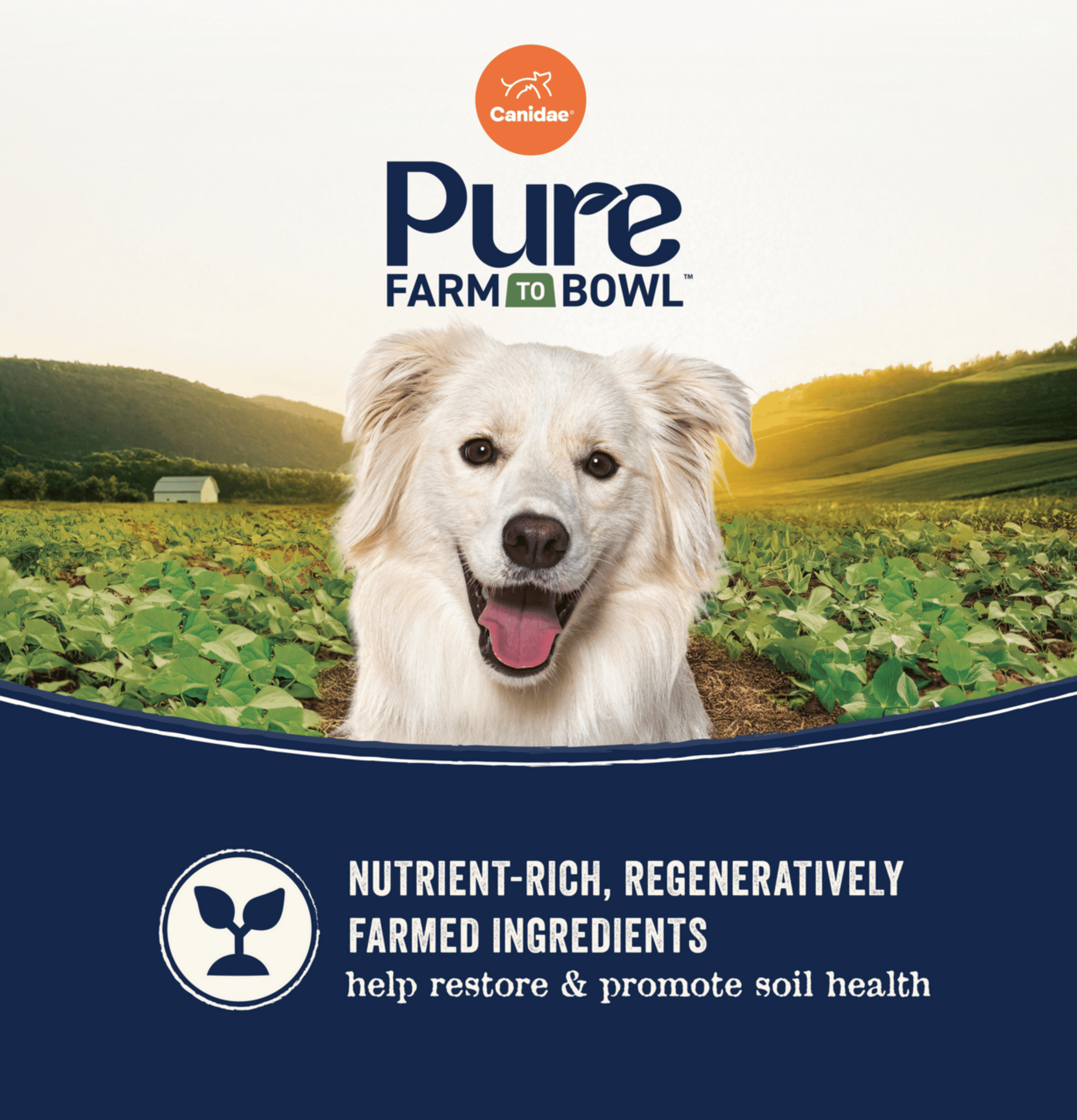 Canidae | Pure 無穀物海洋三文魚+甜薯成犬狗乾糧 - SugarPet 寵甜